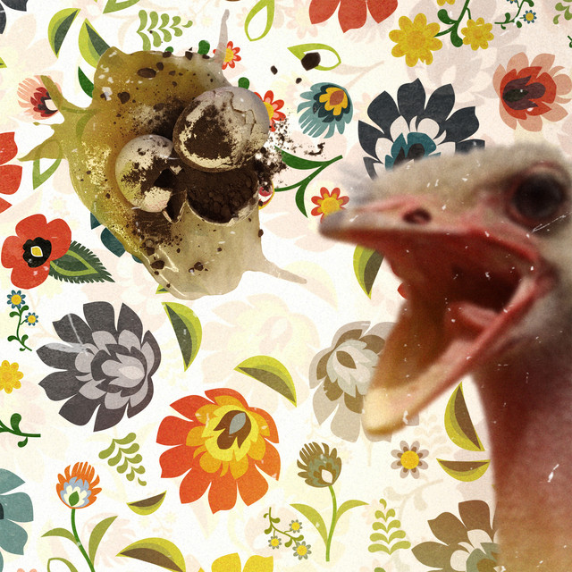 undefined album image
