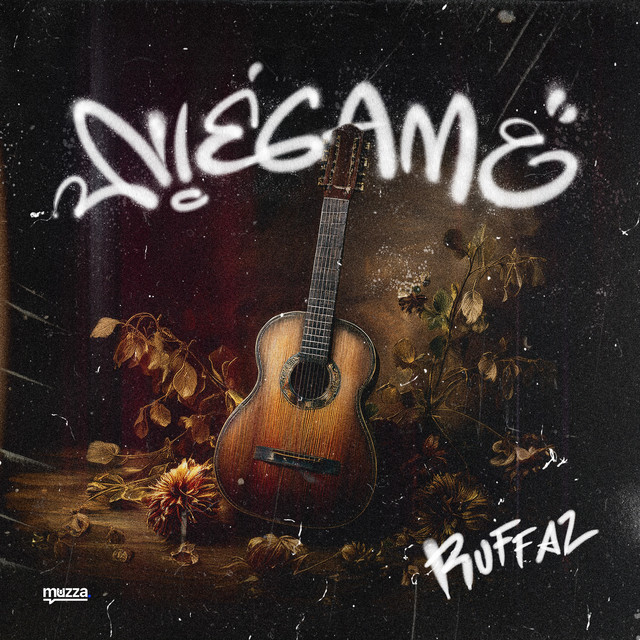 Niégame