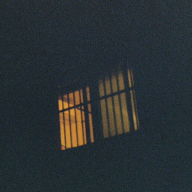 shelter cover art