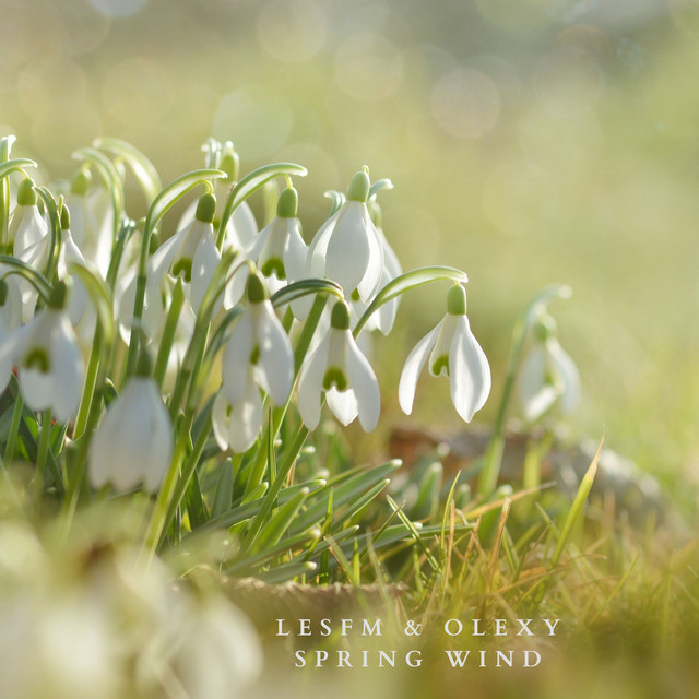 Обкладинка: Spring Wind — Lesfm