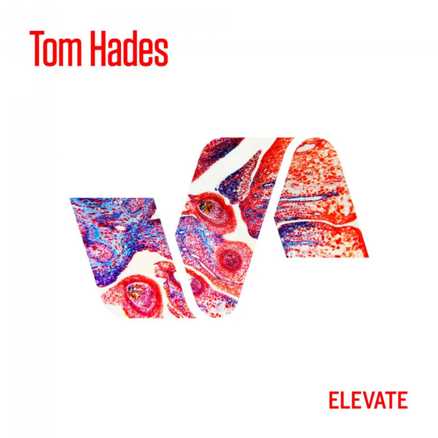 Cloned album art