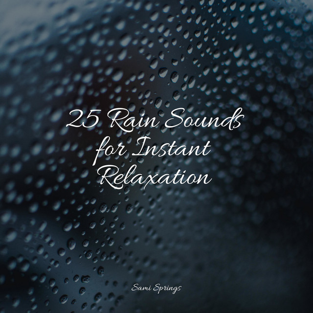 25 Rain Sounds for Instant Relaxation - Album by Deep Sleep Music ...