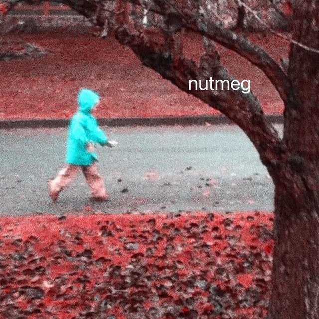 Nutmeg cover art
