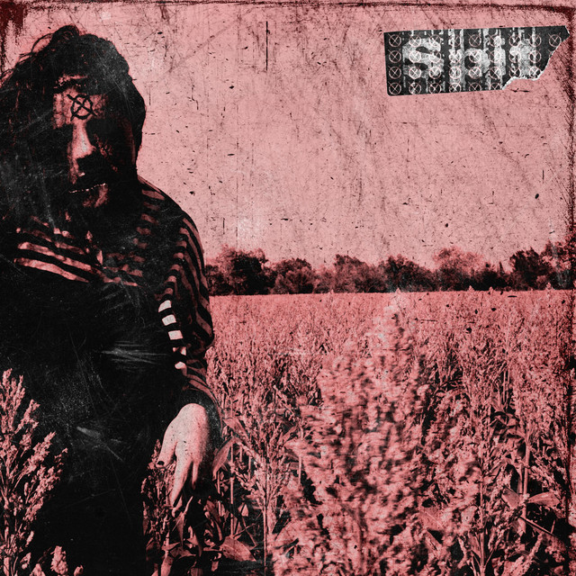 Spit cover art