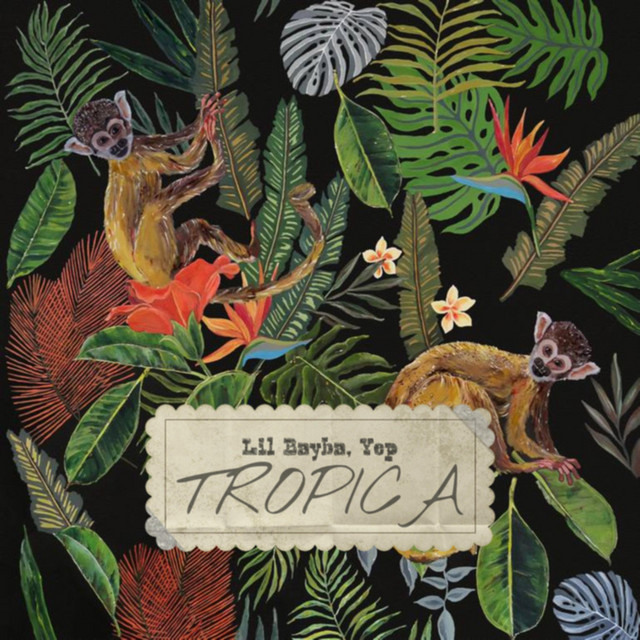 Обкладинка: Tropica — lil bayba