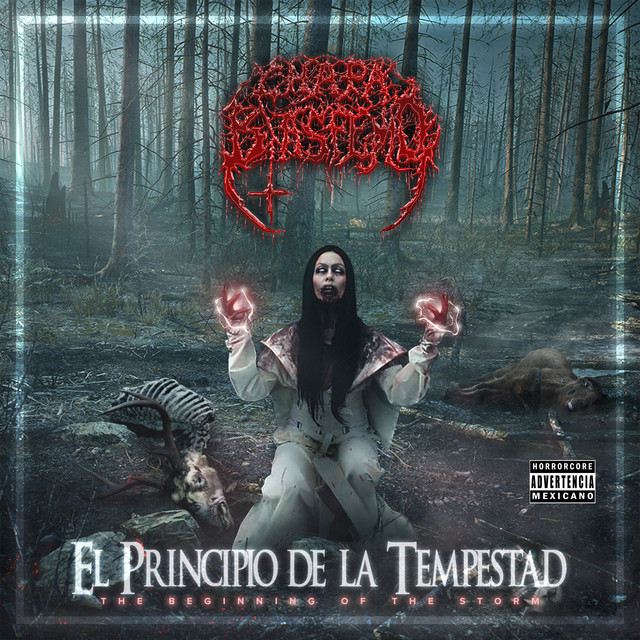 El Principio de la Tempestad cover art