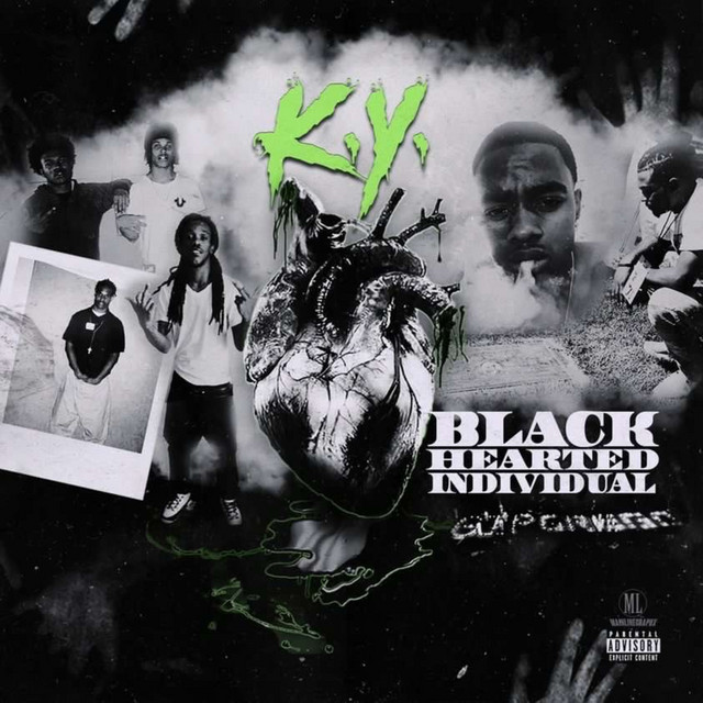 Black Hearted Individual cover art