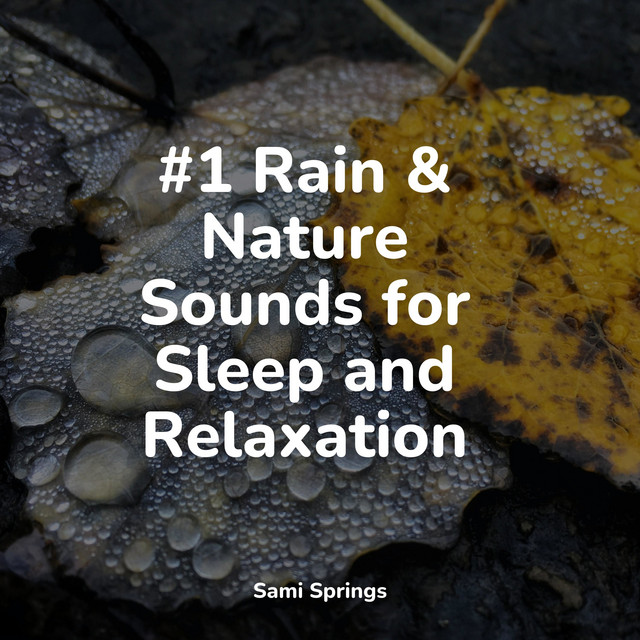 #1 Rain & Nature Sounds for Sleep and Relaxation - Album by Calm Down ...