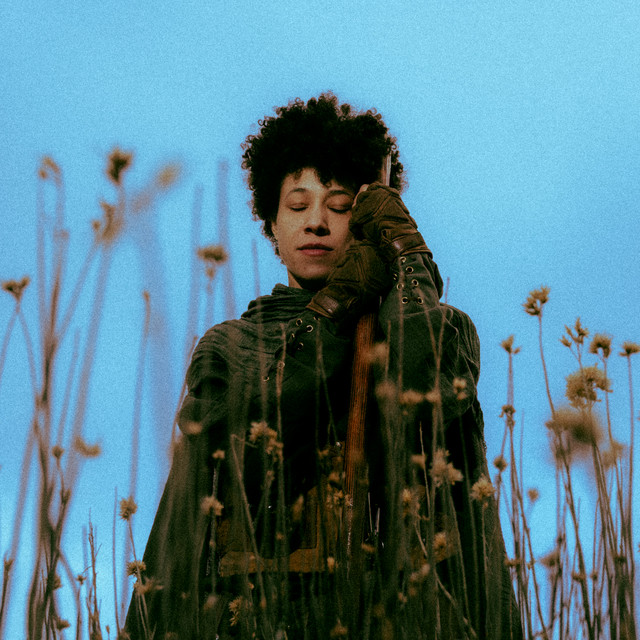 Wander cover art