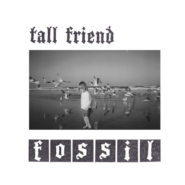 fossil cover art