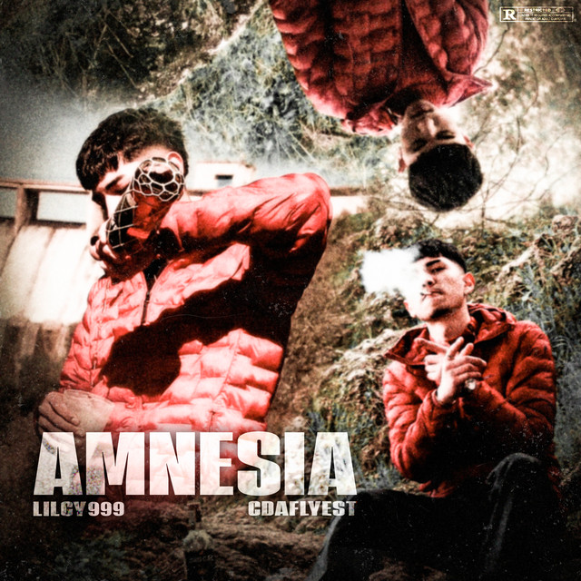 Amnesia cover art