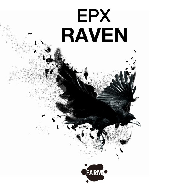 RAVEN cover art