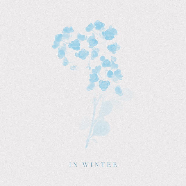 In Winter cover