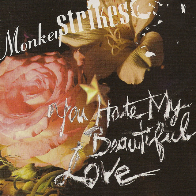 You hate my beautiful love cover art