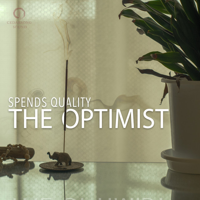 The Optimist cover art