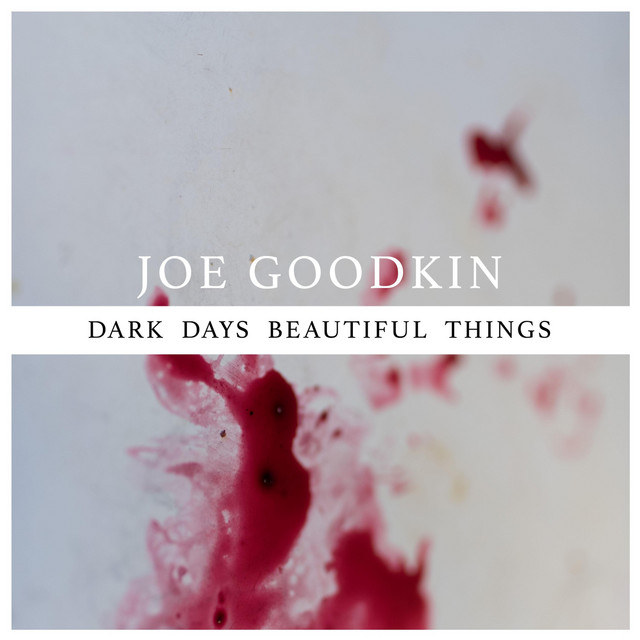 Dark Days Beautiful Things Single By Joe Goodkin Spotify