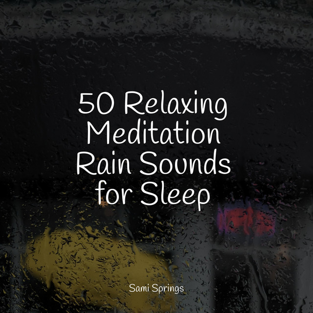50 Relaxing Meditation Rain Sounds for Sleep - Album by Water Sounds ...