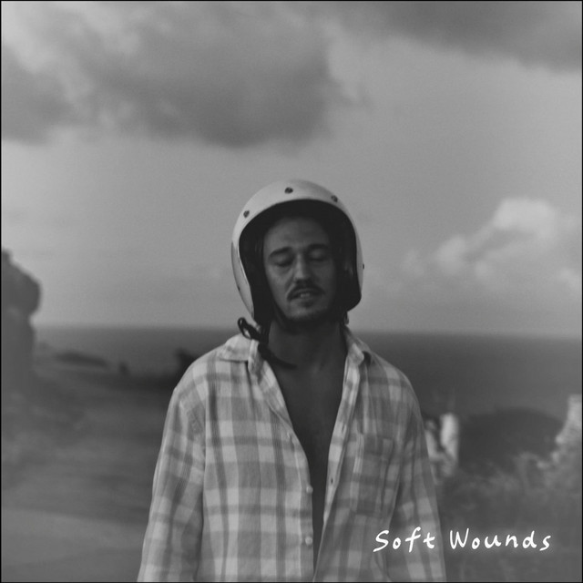 SOFT WOUNDS cover art
