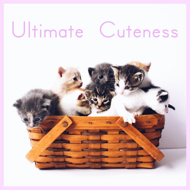 Ultimate Cuteness cover art