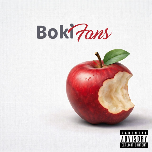 Boki Fans cover art