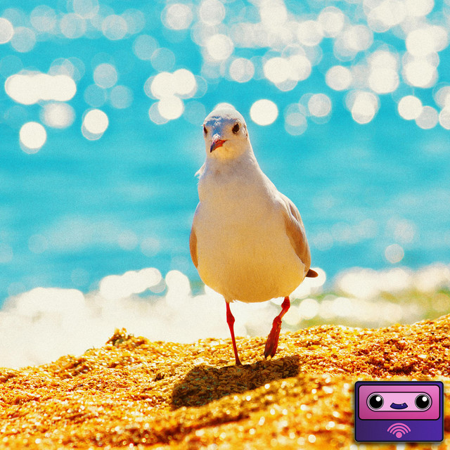 birds cover art