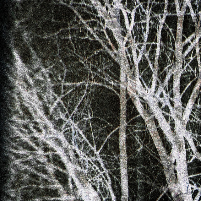 void contemplations cover art