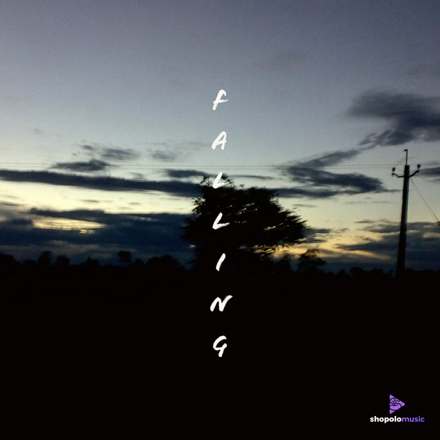 Falling cover art