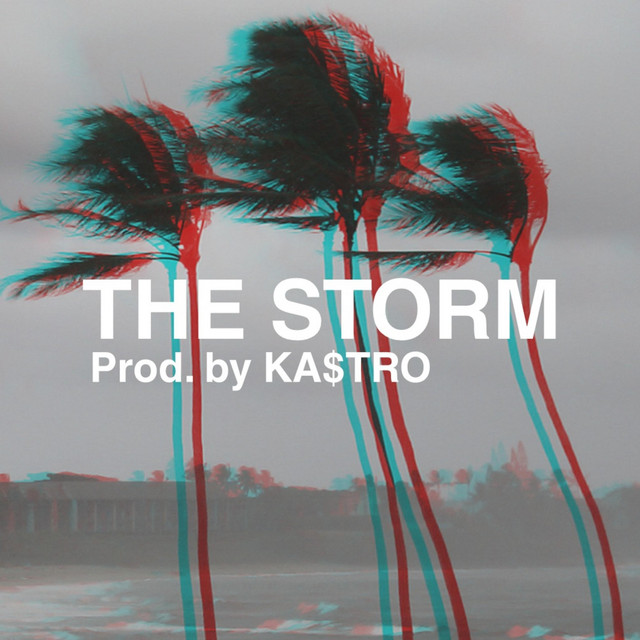 The Storm cover art