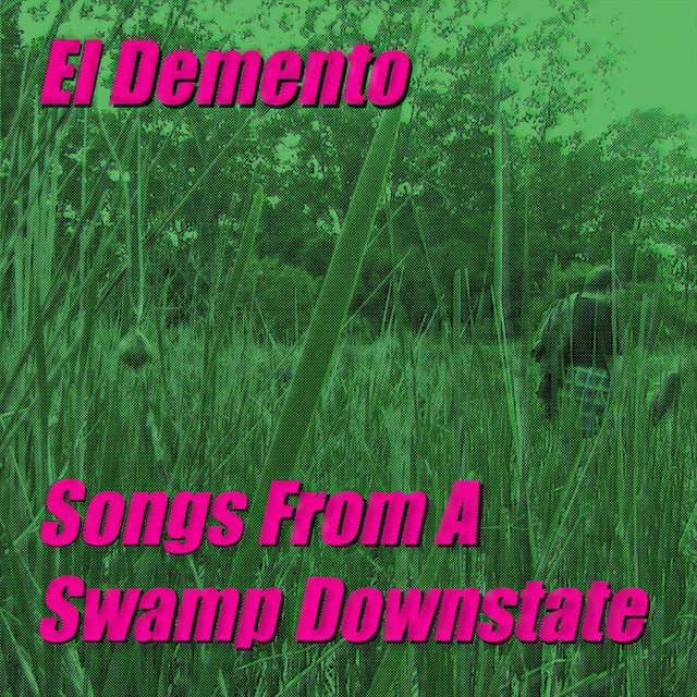 Songs from a Swamp Downstate cover