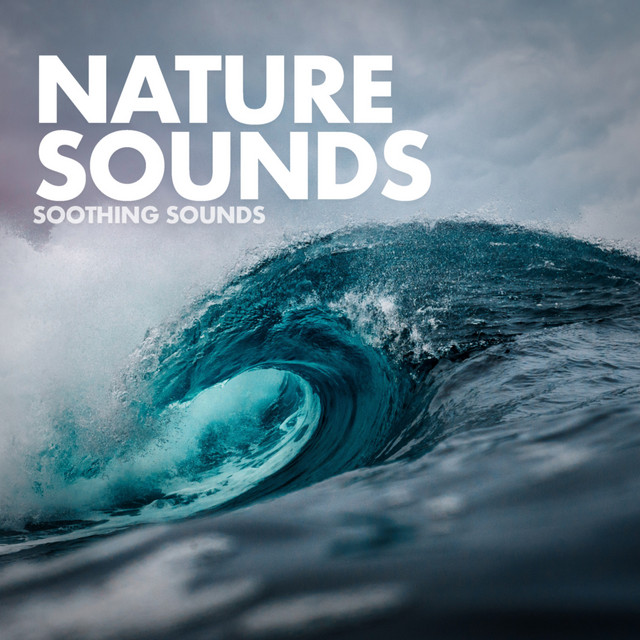 Soothing Sounds cover art