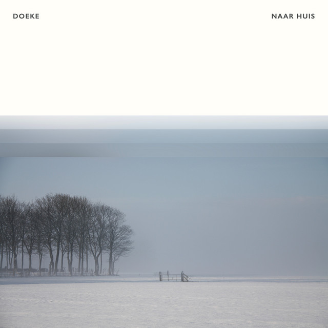 Naar Huis cover art