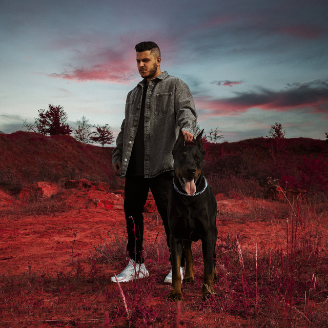 Лают cover art
