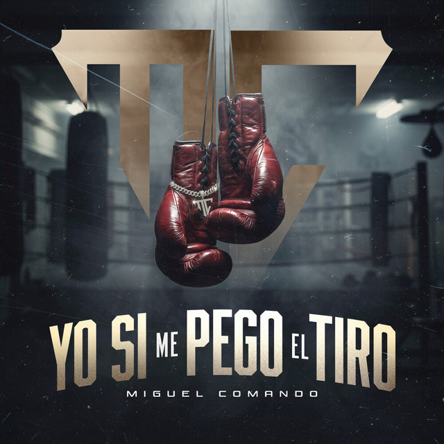 Yo Si Me Pego El Tiro album image