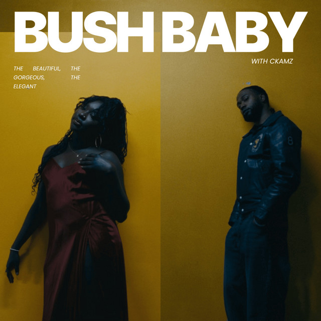 Bush Baby