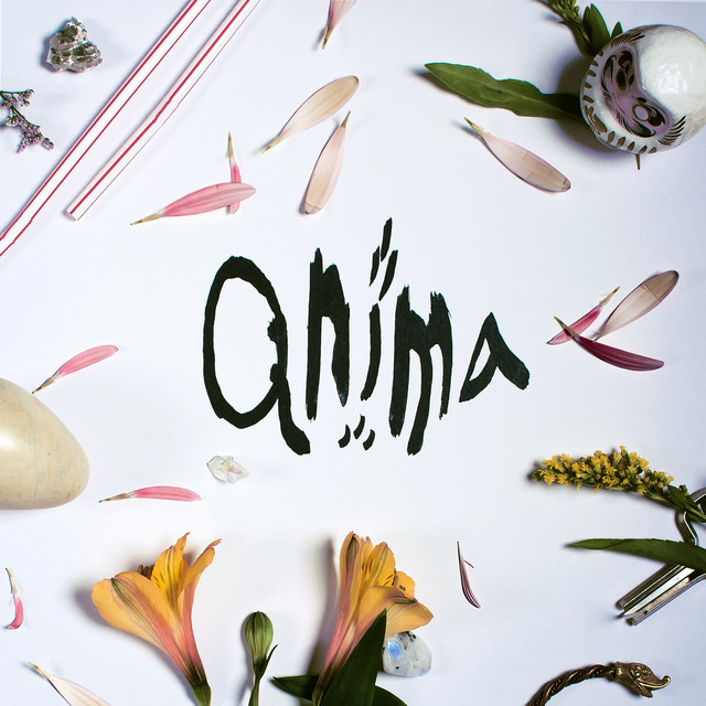 Anima cover art