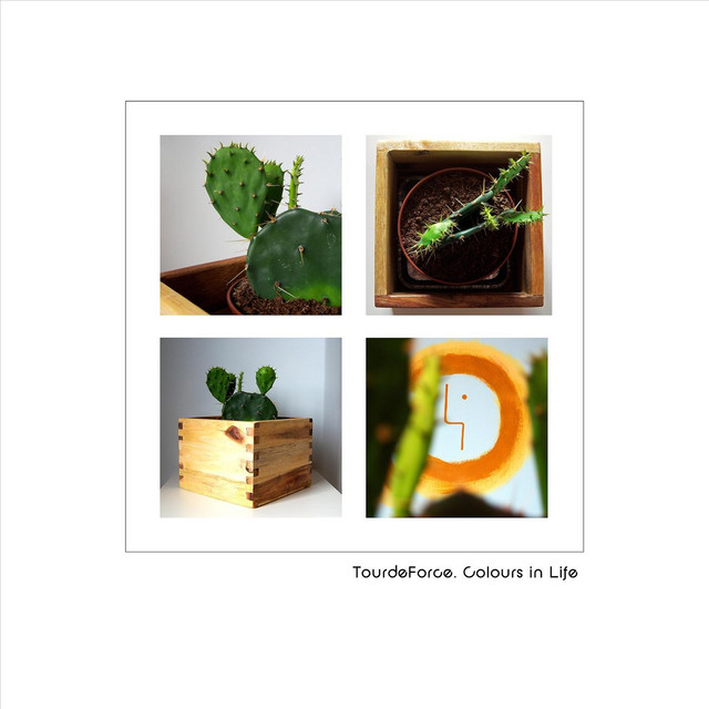 Colours in Life cover art