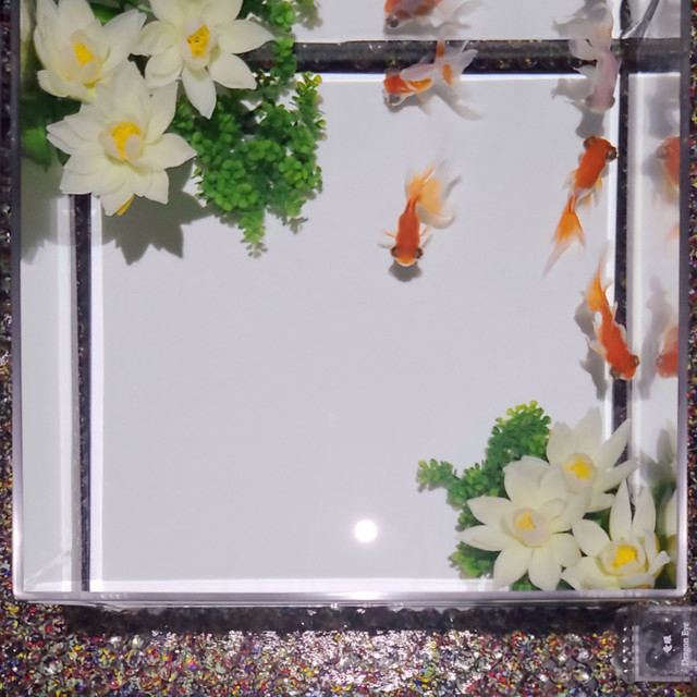Spaced Out cover art