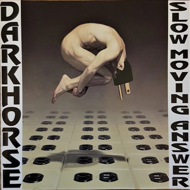 Confused cover art
