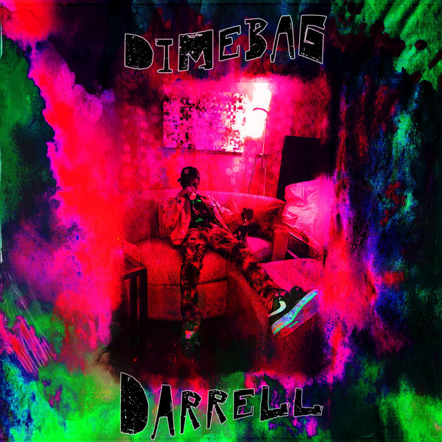 Dimebag Darrell cover art