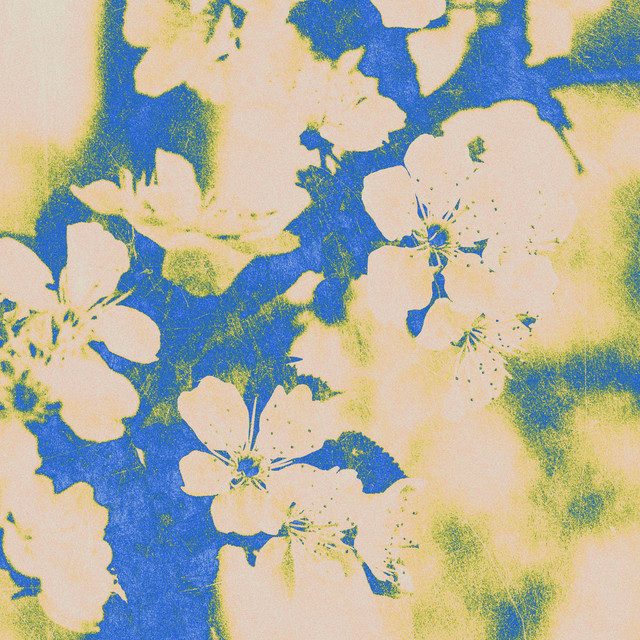 Neuroflora