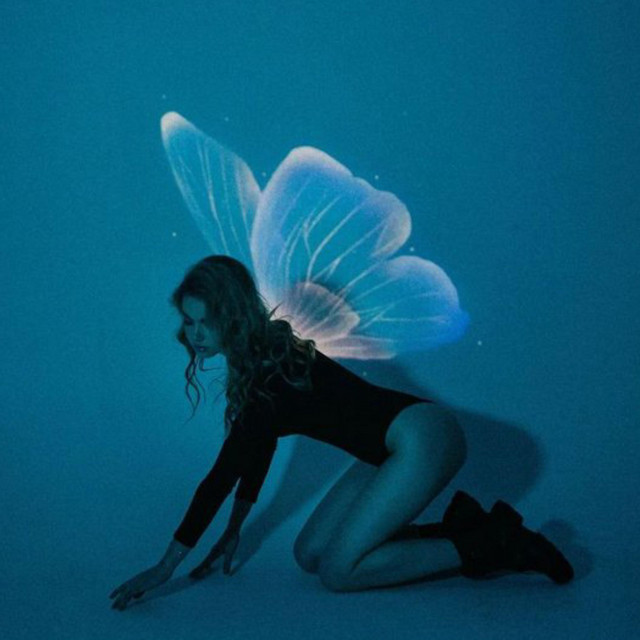 FLY LIKE A BUTTERFLY cover art