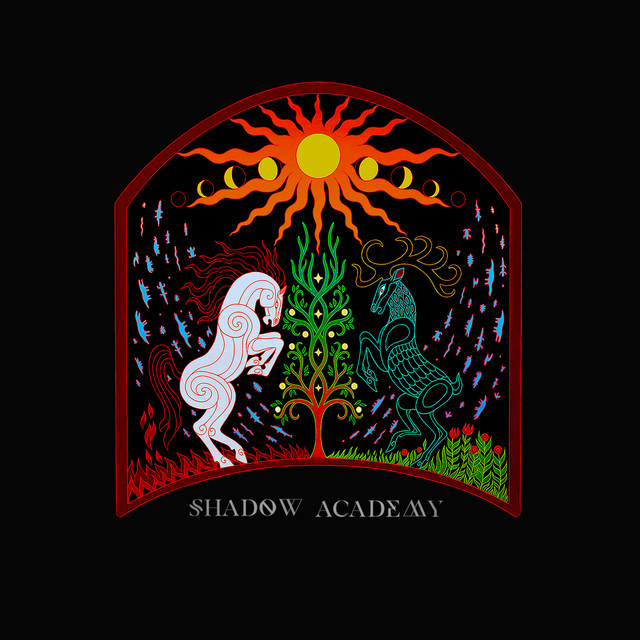 Shadow Academy cover art