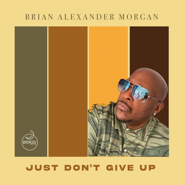 Just Don't Give Up cover art