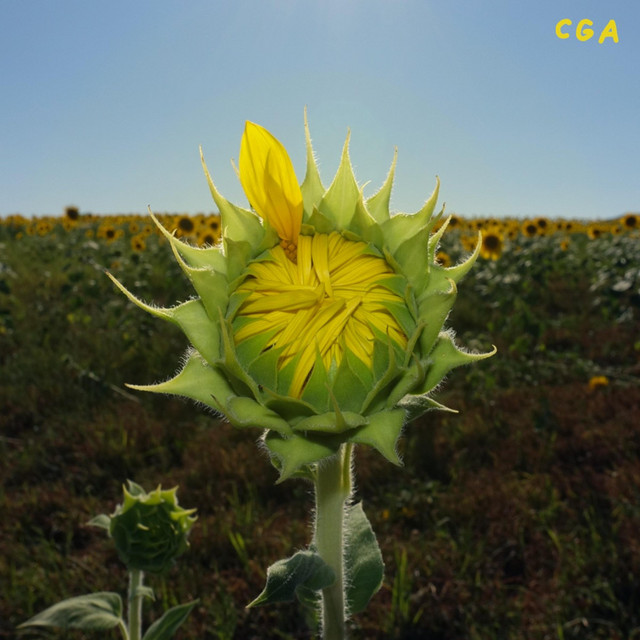 CGA cover art