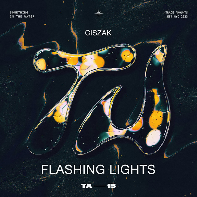 Flashing Lights - Extended Mix album art