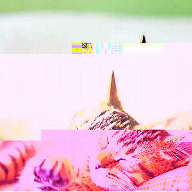 Forget in a Dream cover art