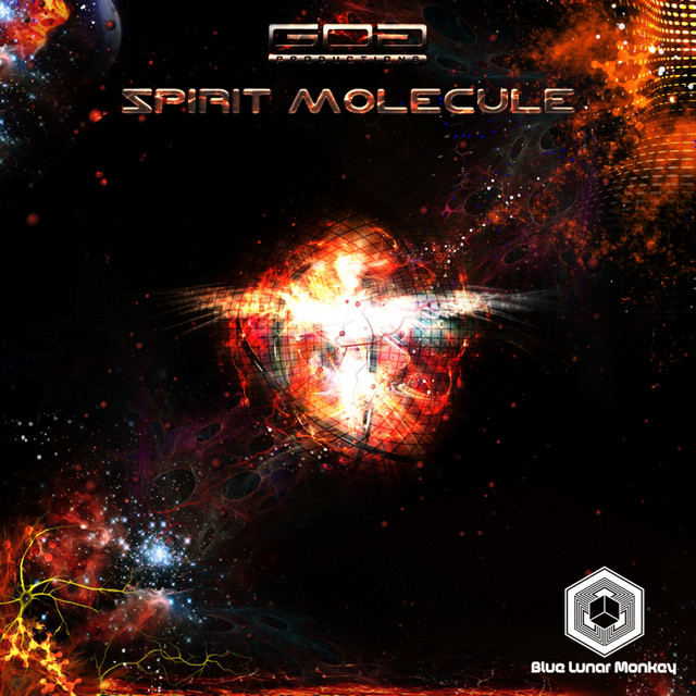 Spirit Molecule cover art