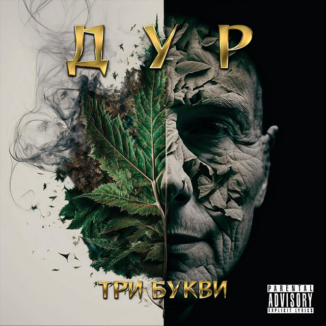 Обкладинка Дур — Три букви
