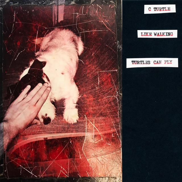 Like Walking & Turtles Can Fly cover art