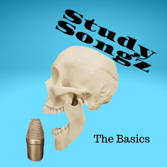 The Basics cover art